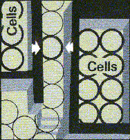 Opu�t�n� samotky