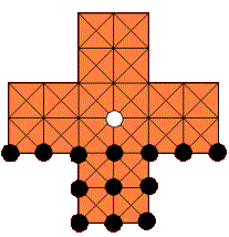 severn� amerika - kojot a ku�ata